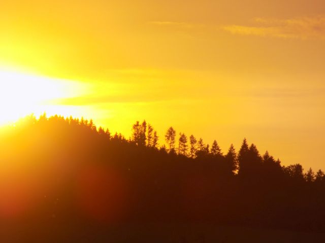 DSCN0636