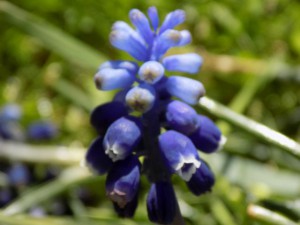 dscn2526.jpg