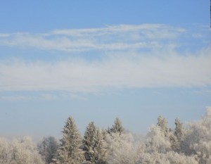 dscn1025.jpg
