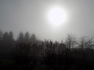 dscn2294.jpg