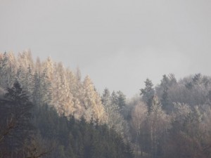 dscn2306.jpg