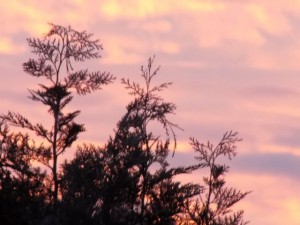 dscn2304.jpg